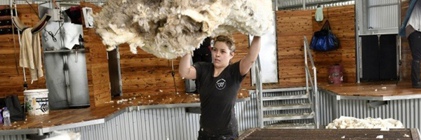 A student learning about wool handling at Muresk Institute.
